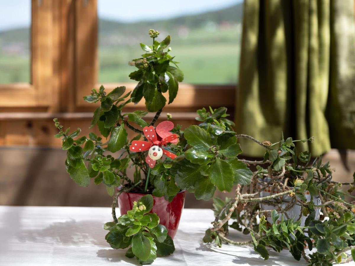 Quaint Holiday Home In Bad K Tzting With Garden Terrace Kötzting エクステリア 写真